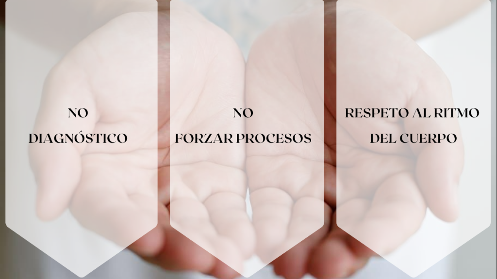 enfoque método S.E.R. somatoemocional